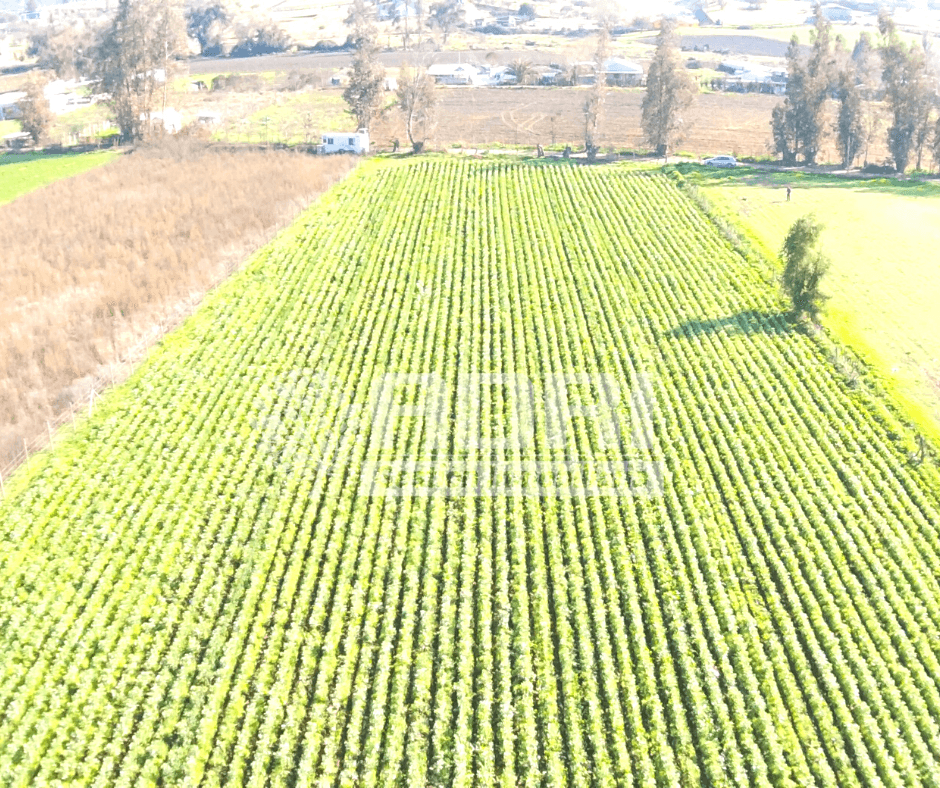Parcela Melipilla Culipran