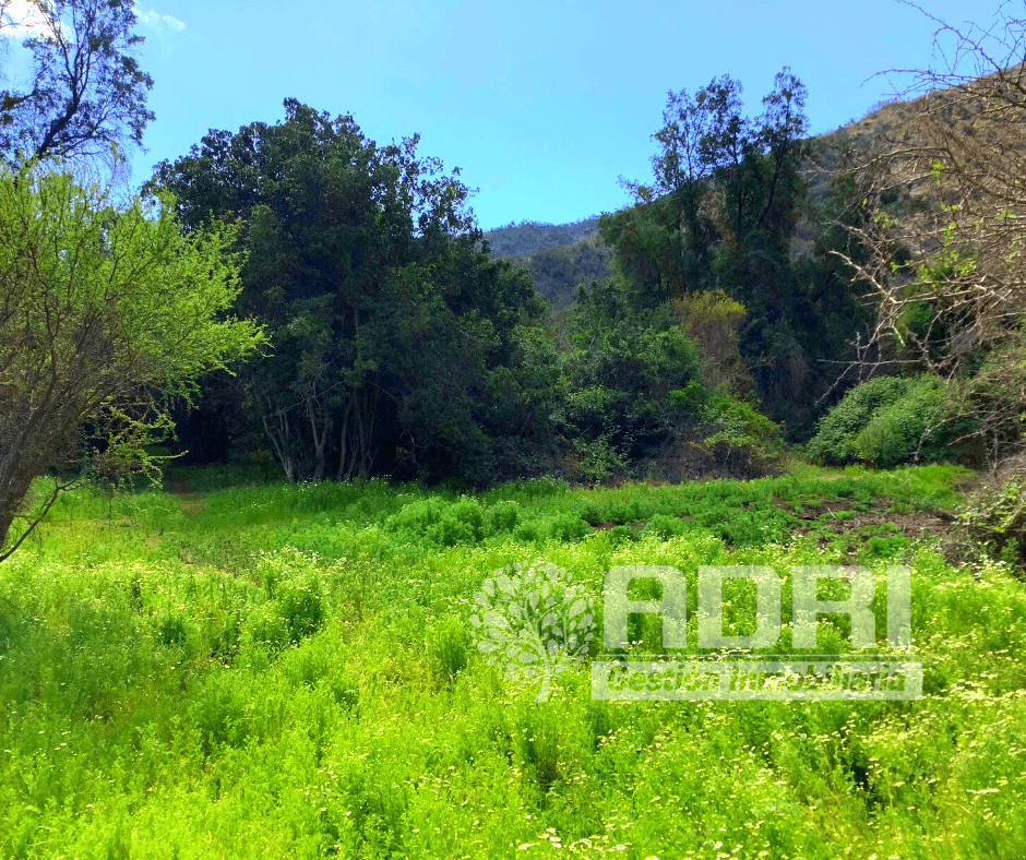 Parcela Agua Santa Culipran