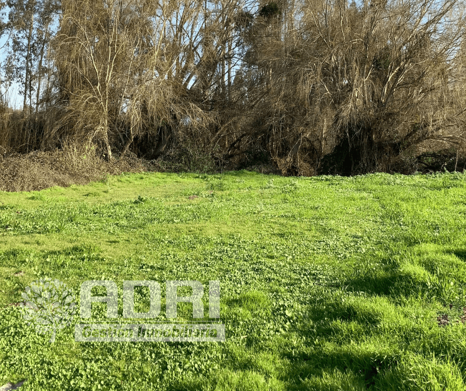 Parcela Melipilla Culipran